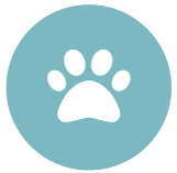 Assistentiehonden