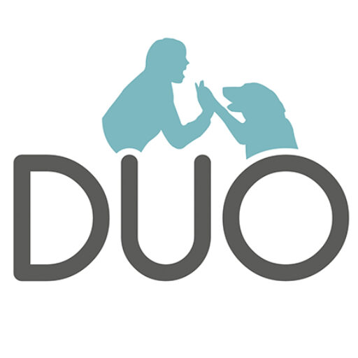 cropped-icon.jpg